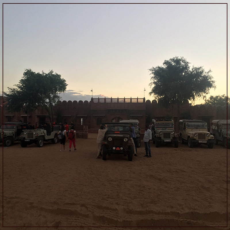 See The Varied Wild Life of The Desert In Jeep Safari.